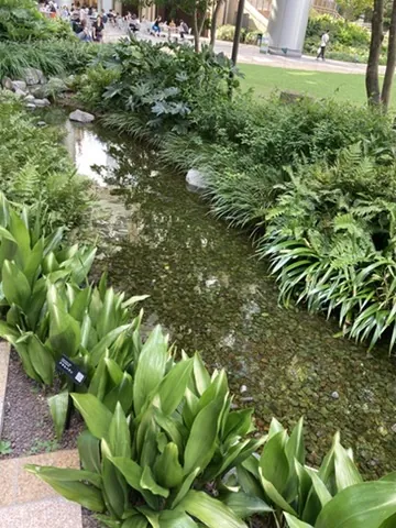 水辺と植栽のクローズアップ